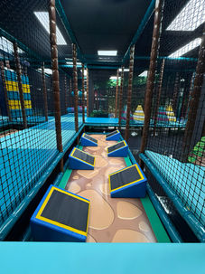 Physical fitness-focused play structure with climbing features and balance challenges.